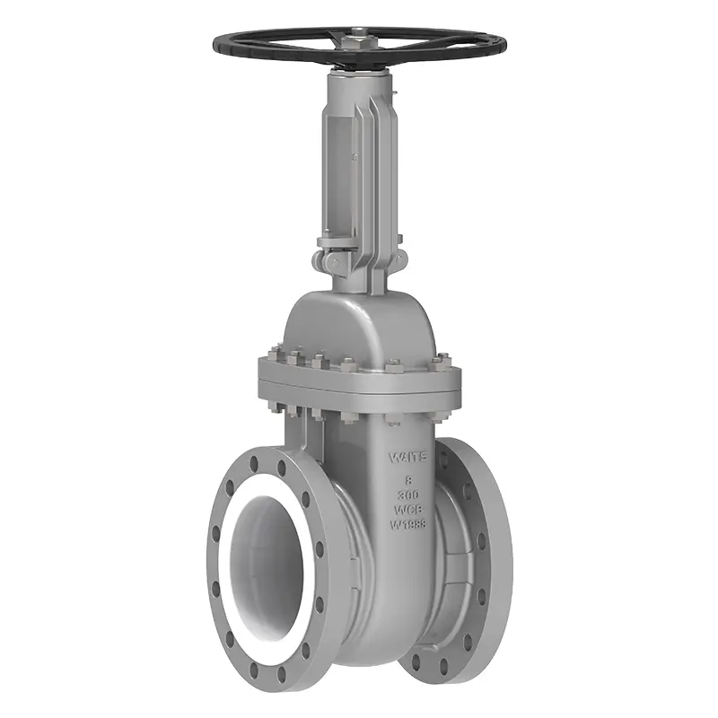 Valve de porte bordé PTFE‌‌
